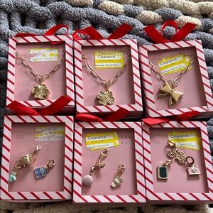 Assorted Necklaces and Charms-New